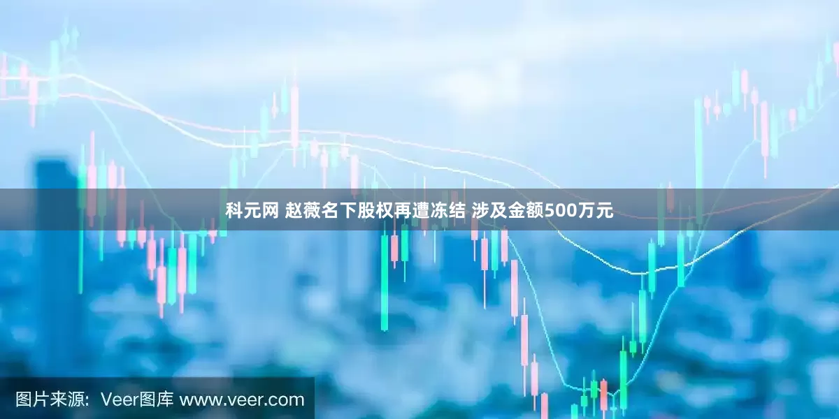 科元网 赵薇名下股权再遭冻结 涉及金额500万元