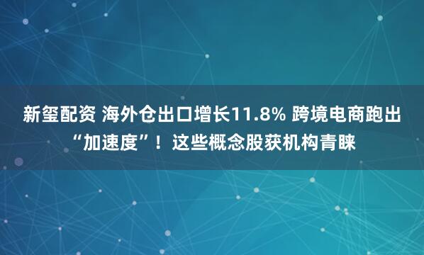 新玺配资 海外仓出口增长11.8% 跨境电商跑出“加速度”！这些概念股获机构青睐