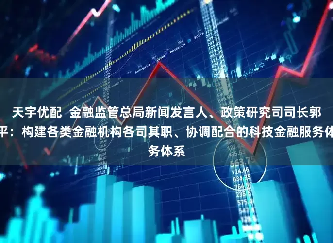 天宇优配  金融监管总局新闻发言人、政策研究司司长郭武平：构建各类金融机构各司其职、协调配合的科技金融服务体系