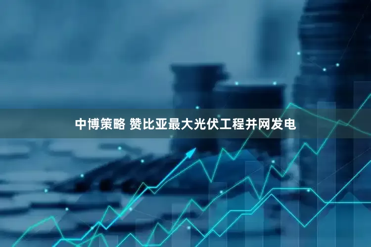 中博策略 赞比亚最大光伏工程并网发电